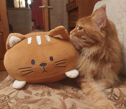  Фото покупателя Алена