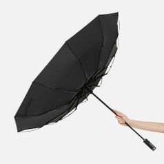 Зонт складной Regenfall (черный)