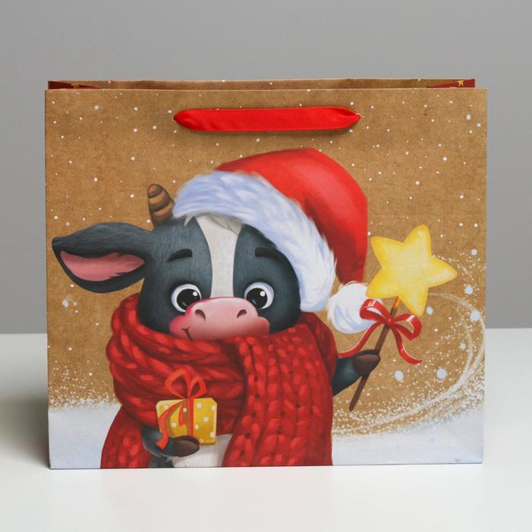 Подарочный пакет Новогодние чудеса Подарочный пакет Новогодние чудеса