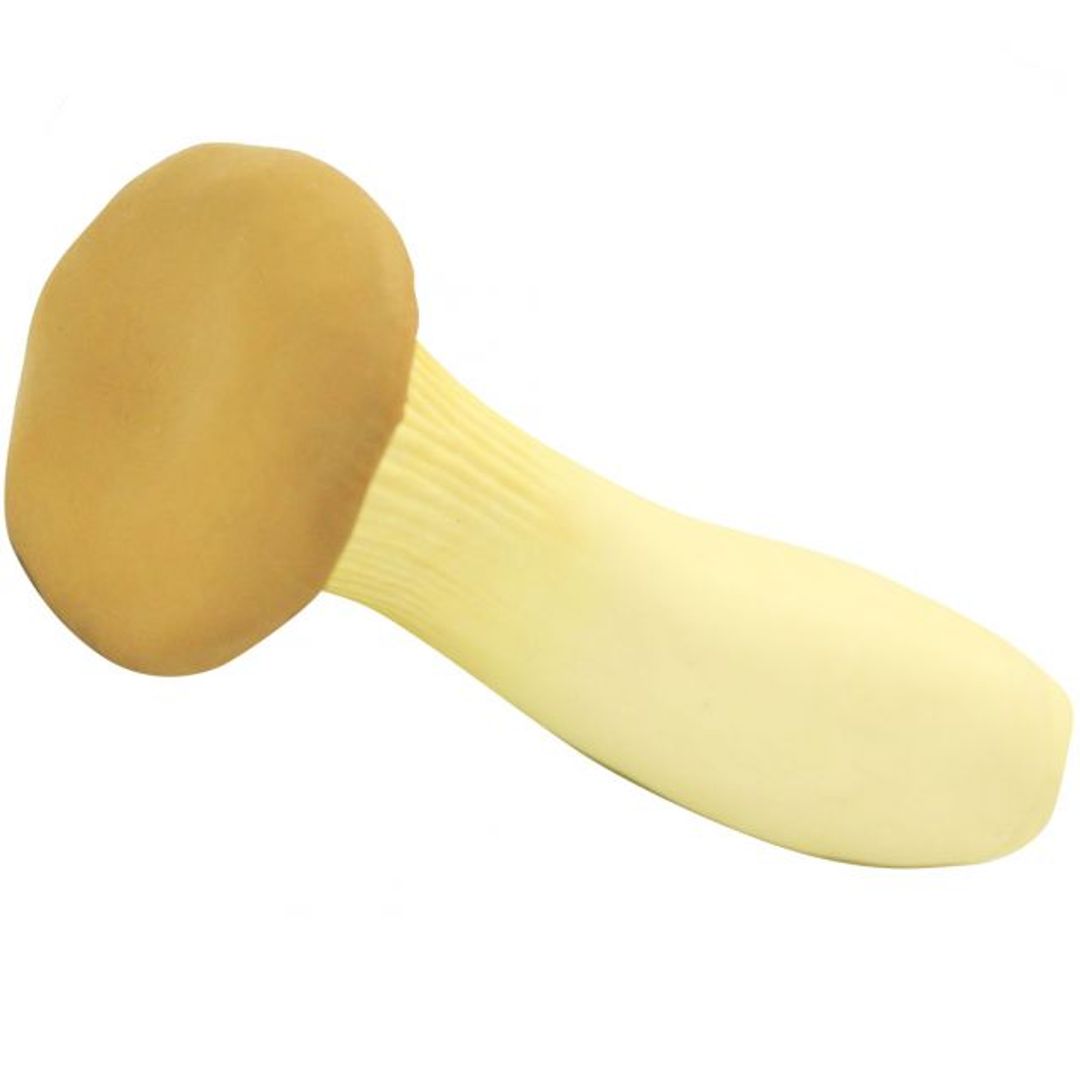 Антистресс Гриб — подосиновик Антистресс Гриб — подосиновик