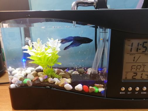  Фото покупателя Екатерина