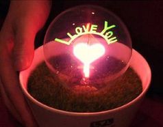 Ночник Flower light Love