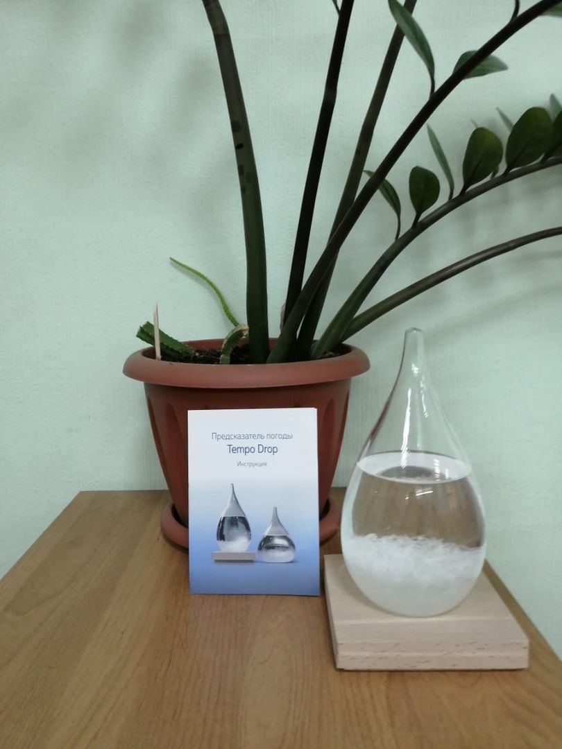 Фото покупателя Дарья