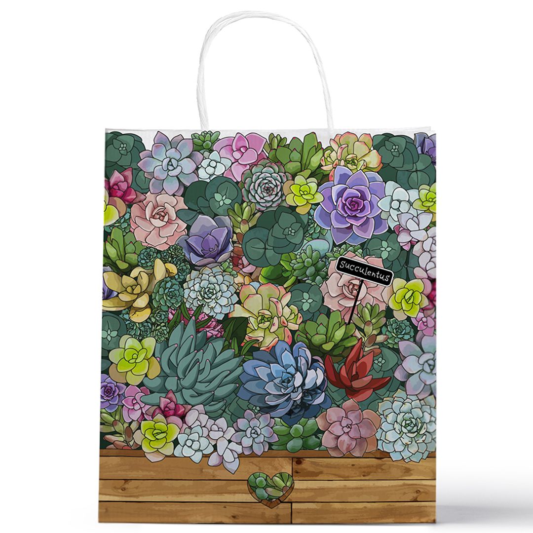 Подарочный пакет Суккуленты (22 х 26 х 10 см)