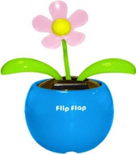                           Цветок Flip Flap В Голубом горшочке
                