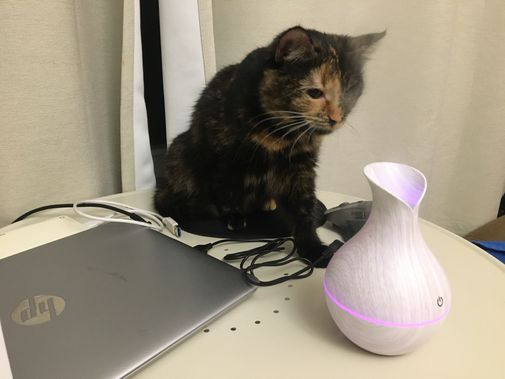  Фото покупателя Юлия