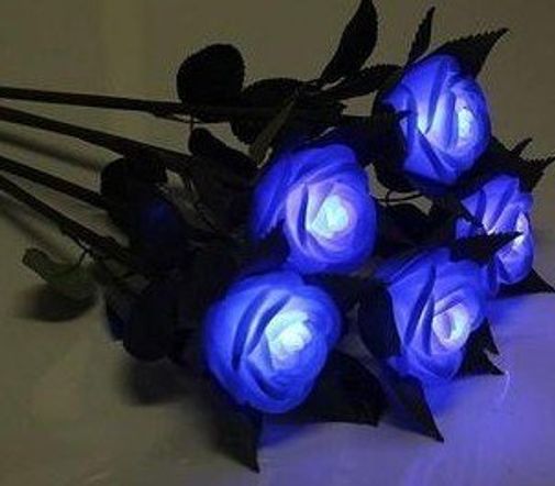 Роза Светящаяся