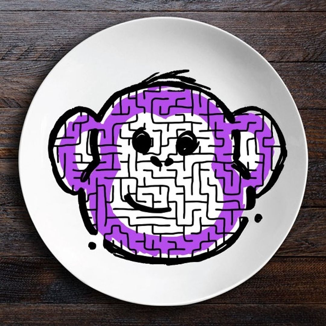 Набор тарелок лабиринтов ЗооЛаб