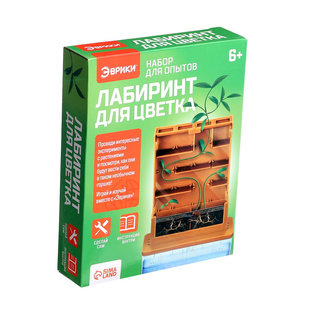 Набор для опытов Лабиринт для цветка