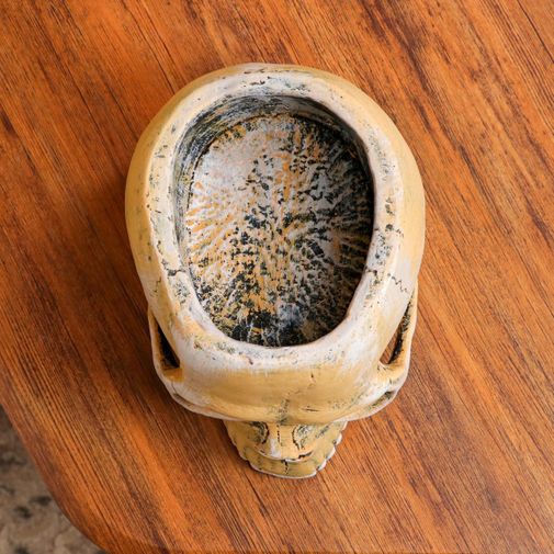 Кашпо Череп (0,5 л)