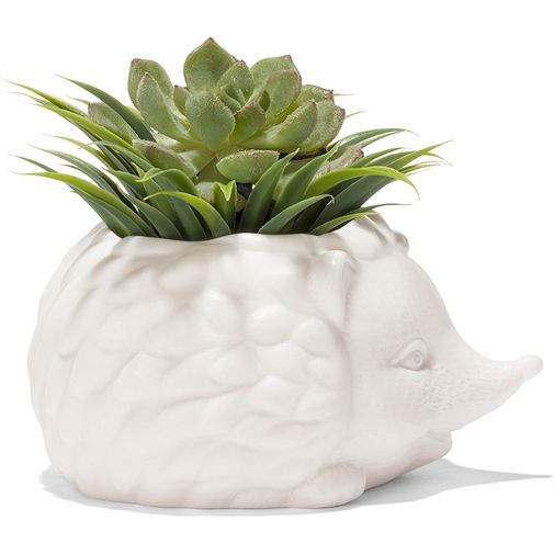 Кашпо Ежик Prickles The Hedgehog