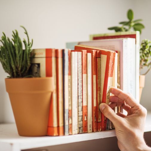 Держатель-горшок на книжной полке Держатель-горшок на книжной полке