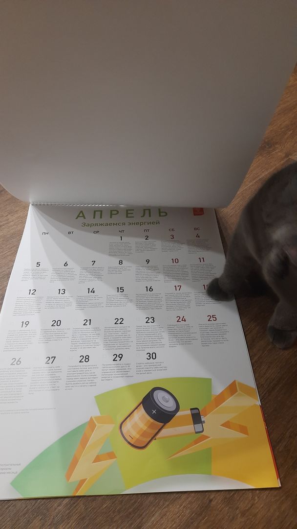 Фото покупателя Ольга Фото покупателя Ольга