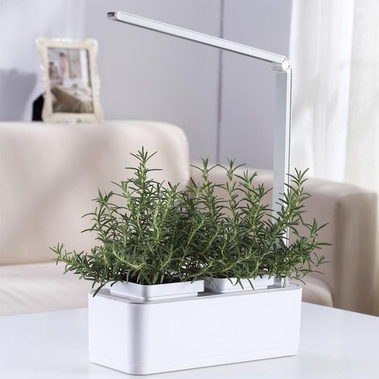 Умный сад для выращивания растений iGarden LED