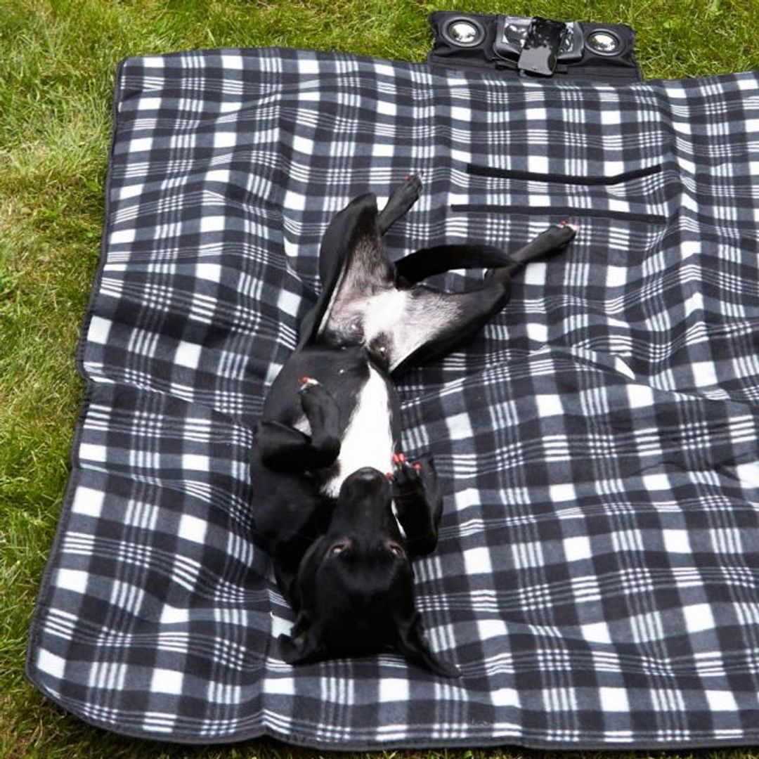 Плед с колонками Speaker Blanket Плед с колонками Speaker Blanket