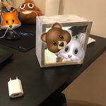 Фотосветильник-фреймбокс DFBox (15х15 см) Отзыв Фотосветильник-фреймбокс DFBox (15х15 см) Отзыв