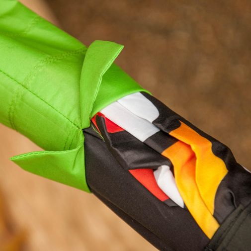 Бабочка выбирается из кокона. Вторая стадия Бабочка выбирается из кокона. Вторая стадия