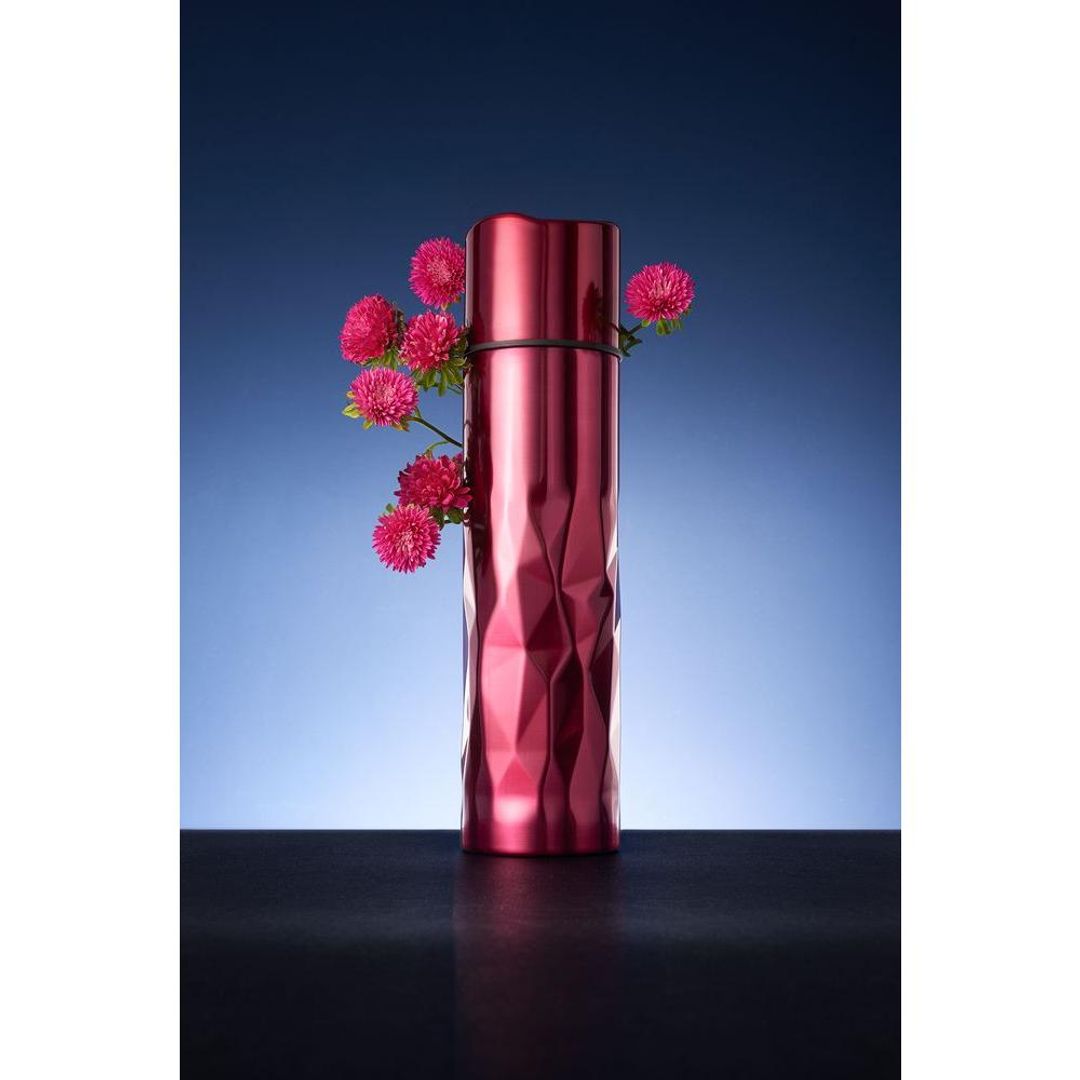 Термос Gems Red Rubine красный рубин Термос Gems Red Rubine красный рубин