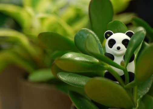 Флешка Панда Белая 4 Гб