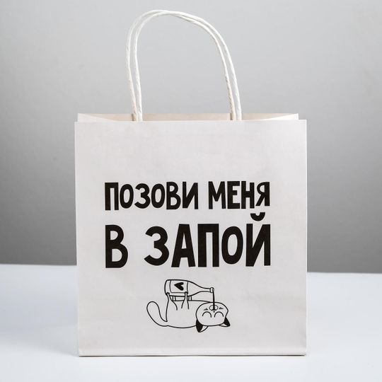 Подарочный пакет Позови меня в запой (22 х 22 х 11 см)
