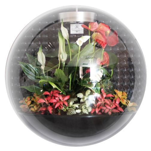 Настенный флорариум Flandriss Miniball Black 3D