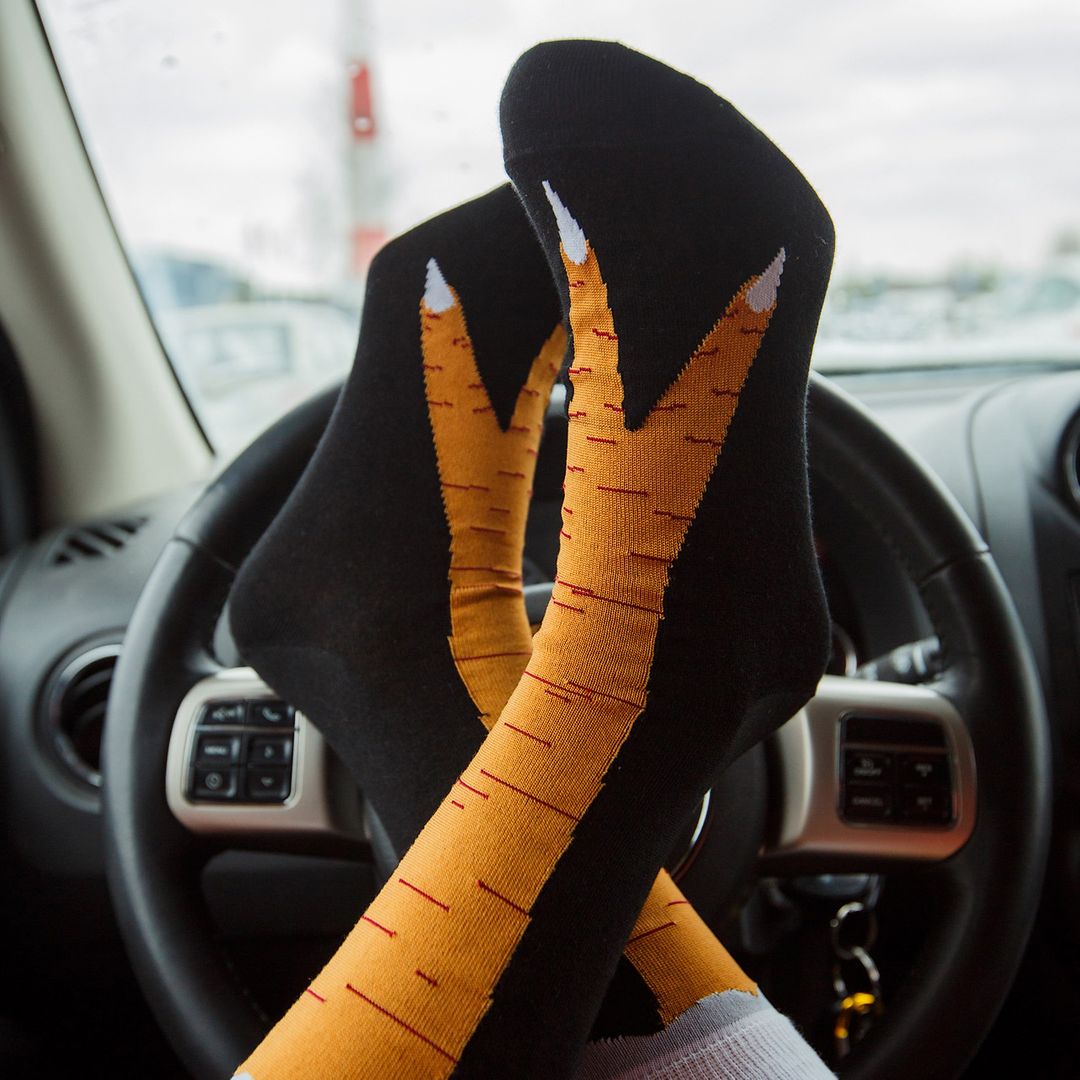 Рулить как курица лапой Рулить как курица лапой