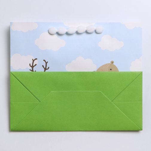 Подарочный пакет с пластиковым окном Friends (24 х 20 х 11 см) Подарочный пакет с пластиковым окном Friends (24 х 20 х 11 см)