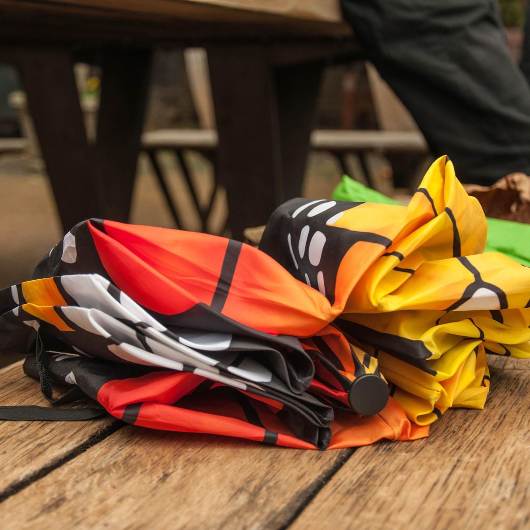 Бабочка расправляет крылья Бабочка расправляет крылья