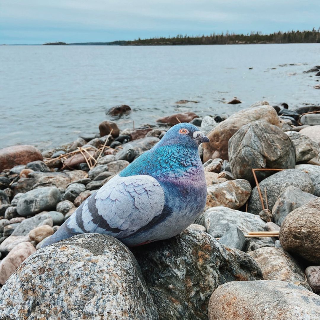 Декоративная подушка Голубь Декоративная подушка Голубь