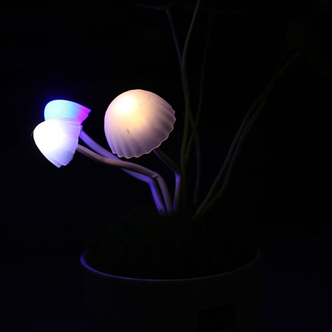 Ночник Волшебные грибы Использование