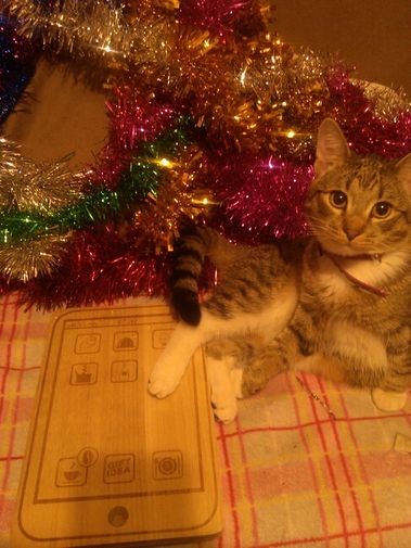  Фото покупателя Аня