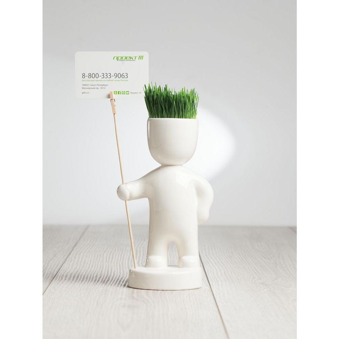 Набор для выращивания Funky Headman Набор для выращивания Funky Headman