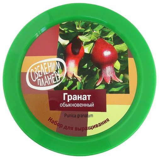 Набор для выращивания Гранат обыкновенный Набор для выращивания Гранат обыкновенный
