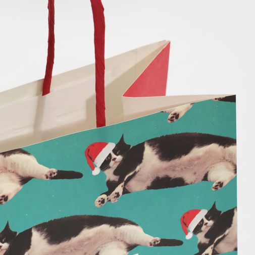 Подарочный пакет Веселье (22 х 22 х 11 см) Подарочный пакет Веселье (22 х 22 х 11 см)