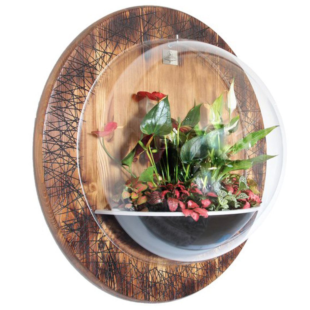 Настенный флорариум Flandriss Ignis Liberandum