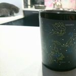 Термокружка Созвездия Constellation Mug Отзыв