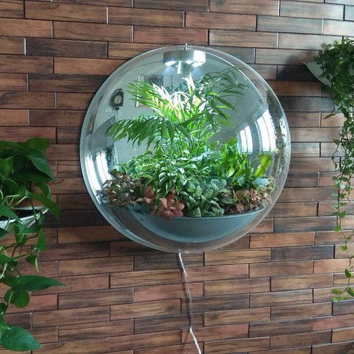 Настенный флорариум Flandriss Miniball Gray