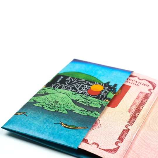 Обложка для паспорта New wallet New Fuji