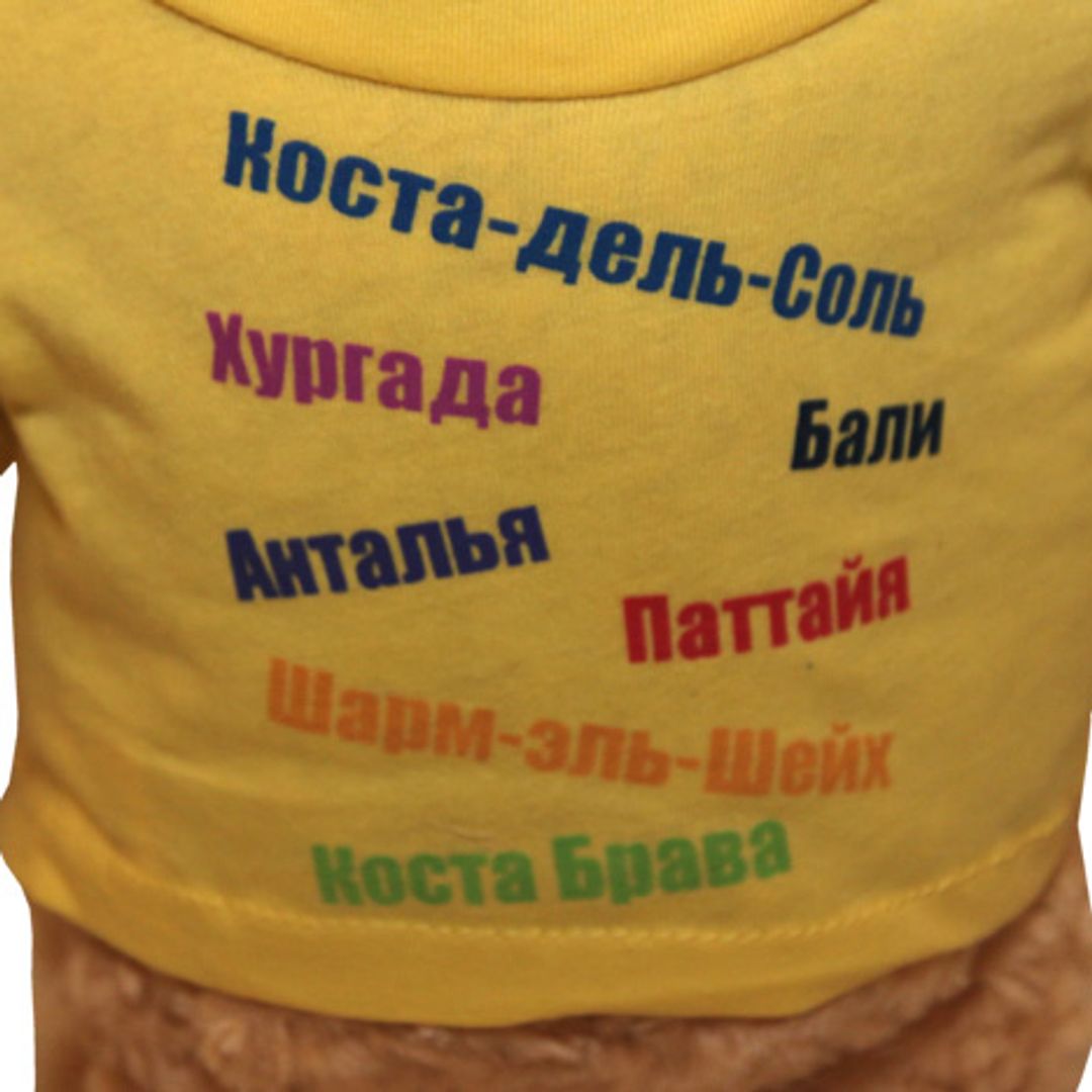 Музыкальная игрушка Здоровяк Ух Футболка сзади