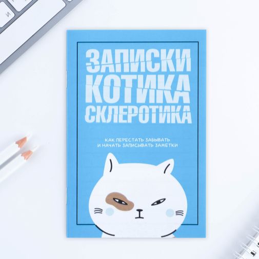 Блокнот Записки котика (А6)