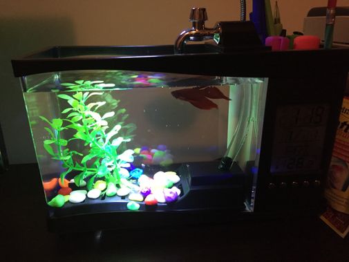  Фото покупателя Мария