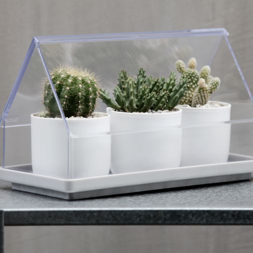 Лоток для выращивания растений Micro Green House