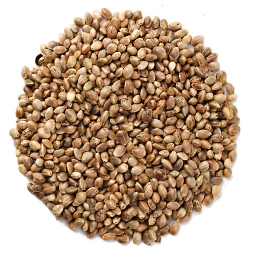 Семена конопли (100 г) Семена конопли (100 г)