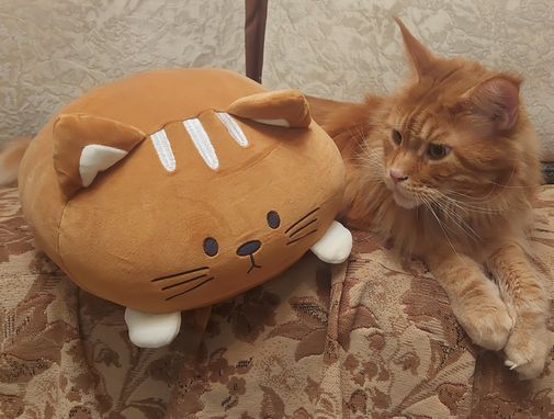  Фото покупателя Алена