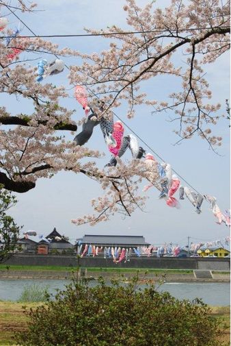 Фото покупателя Евгения Фото покупателя Евгения