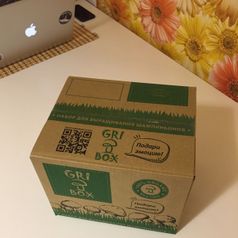 Набор для выращивания шампиньонов Gribox