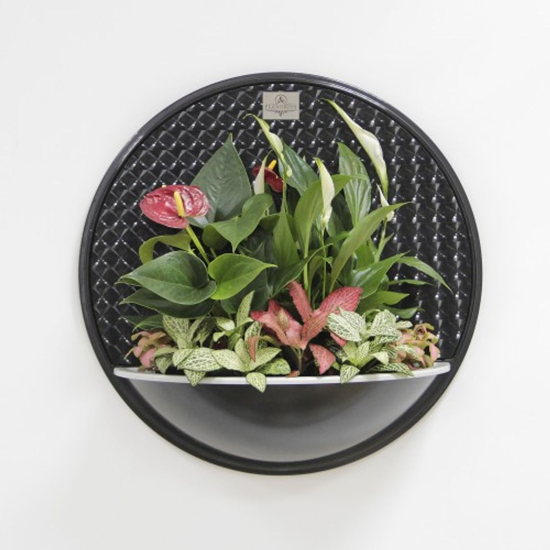 Цветочная композиция Антураж Цветочная композиция Антураж