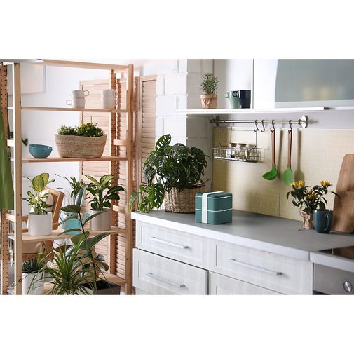 Ланч-бокс Monbento Square (Jungle) Ланч-бокс Monbento Square (Jungle)