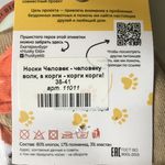 Носки Человек - человеку волк, а корги - корги корги! Отзыв Носки Человек - человеку волк, а корги - корги корги! Отзыв