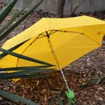 Зонт Кукуруза Corn Umbrella Открытый